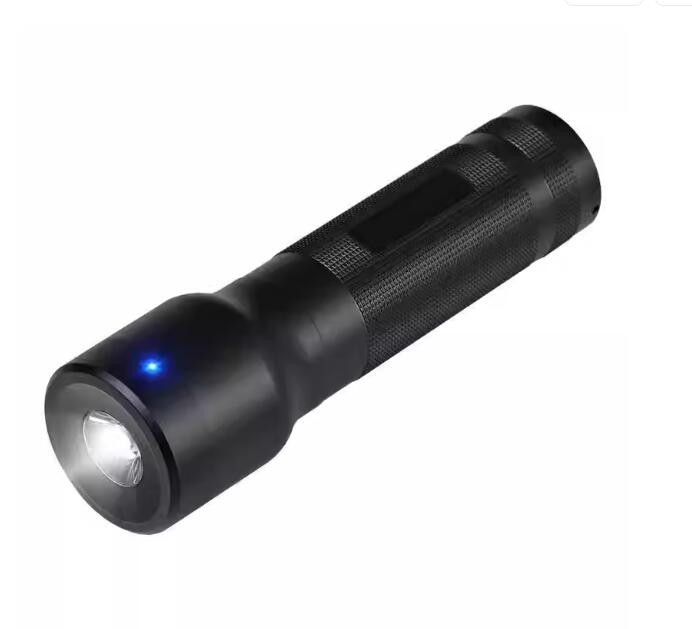 澳芯科巡更棒巡更机防水防摔巡逻器巡查打点仪整套充电电子AP620